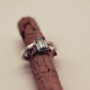 ringValentin1